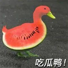 金融圈吃瓜女孩,揭秘“吃瓜女孩”的理财智慧