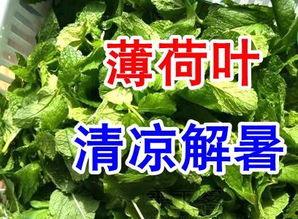 入伏吃三瓜图片,清凉一夏,健康相伴