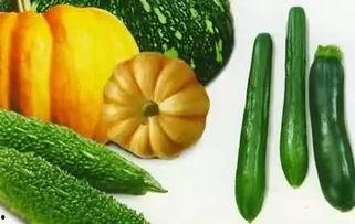 吃瓜龙仔