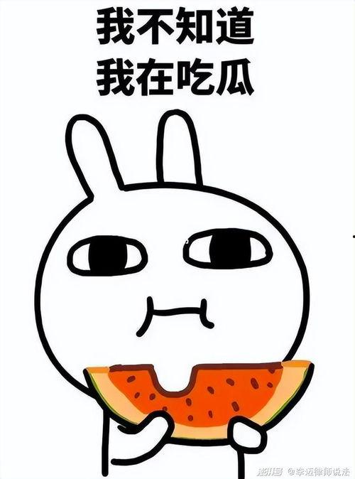 吃瓜龙仔