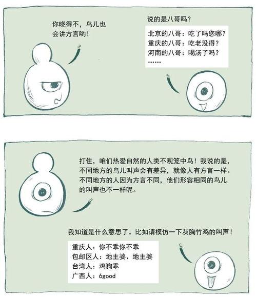 成都吃瓜笔记,揭秘“吃瓜笔记”中的地道风味