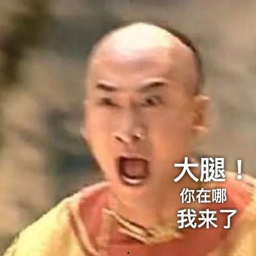 太君吃瓜表情,揭秘网络红人的魅力瞬间