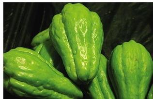 佛手瓜长出黄芽可以吃吗,辨别与安全食用方法