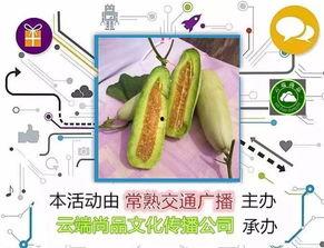 白羊角瓜怎么吃,解锁美味新体验