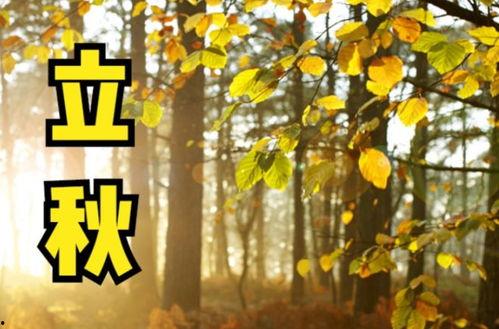 立秋后吃瓜谚语