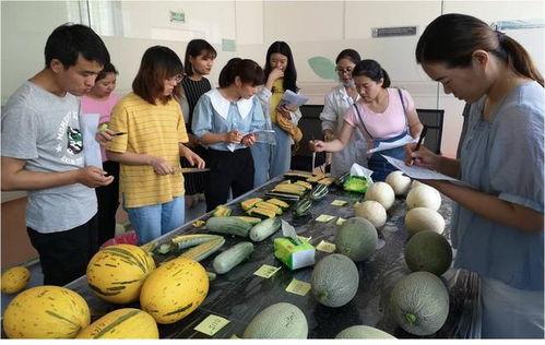 晚港吃瓜,揭秘娱乐圈的幕后瓜田