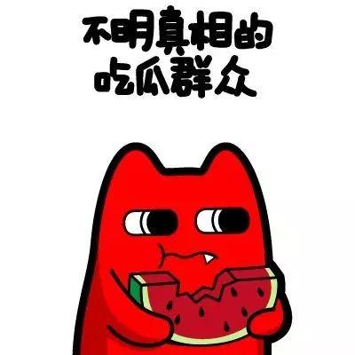 随时吃瓜群众,洞察社会百态